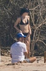 DAKOTA JOHNSON in Bikini at a Beach in Puerto Vallarta 02/23/2024