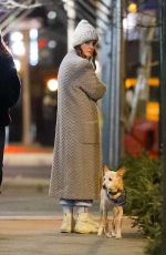 DREW BARRYMORE Out on Her Birthday in New York 02/22/2024