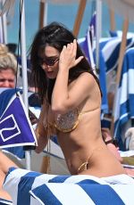 EMILY RATAJKOWSKI in Bikini at a Beach in Miami 02/17/2024