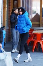 EMILY RATAJKOWSKI Out and About in New York 02/14/2024