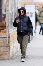 EMILY RATAJKOWSKI Out and About in New York 02/21/2024