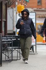 EMILY RATAJKOWSKI Out and About in New York 02/21/2024