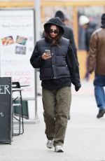 EMILY RATAJKOWSKI Out and About in New York 02/21/2024