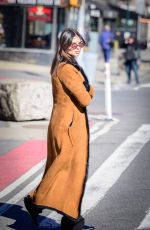 EMILY RATAJKOWSKI Out in New York 02/07/2024