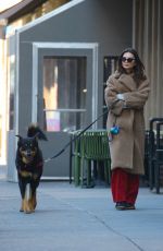 EMILY RATAJKOWSKI Out with Her Dog Colombo in New York 02/20/2024