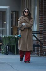 EMILY RATAJKOWSKI Out with Her Dog Colombo in New York 02/20/2024