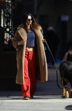 EMILY RATAJKOWSKI Out with Her Dog Colombo in New York 02/20/2024