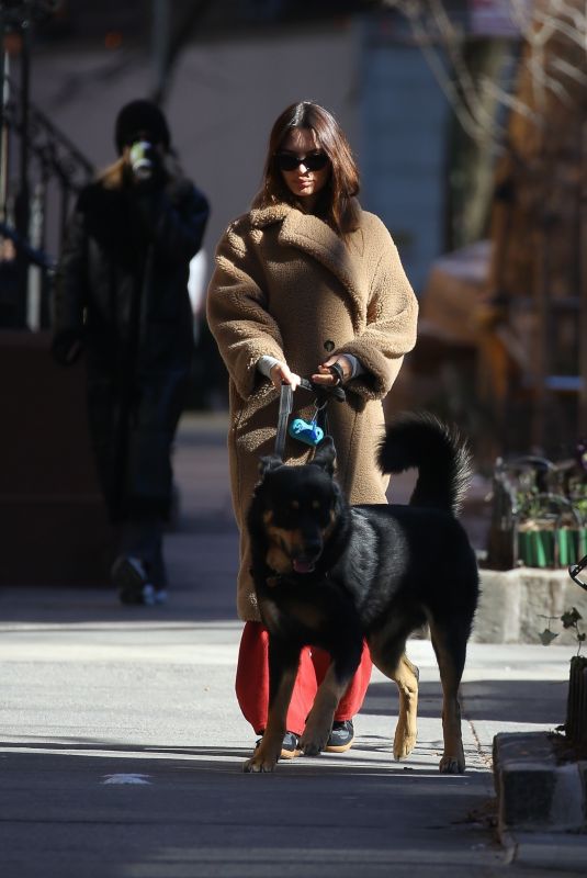 EMILY RATAJKOWSKI Out with Her Dog Colombo in New York 02/20/2024