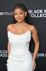 HALLE BILEY at 2024 Recording Academy Honors Presented by Black Music Collective in Los Angeles 02/01/2024