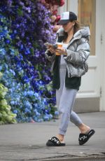 HILARIA BALDWIN Out and About in New York 02/27/2024