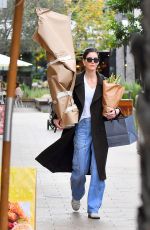 HILARY RHODA Out Shopping in Los Angeles 02/26/2024