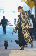 IRINA SHAY Out Walks Her Dog in New York 02/06/2024