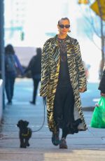 IRINA SHAY Out Walks Her Dog in New York 02/06/2024