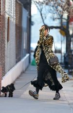 IRINA SHAY Out Walks Her Dog in New York 02/06/2024