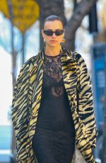 IRINA SHAY Out Walks Her Dog in New York 02/06/2024