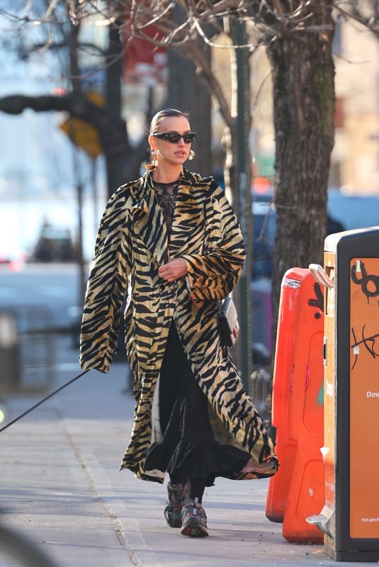 IRINA SHAY Out Walks Her Dog in New York 02/06/2024