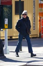 JULIANNE MOORE Out and About in New York 02/07/2024
