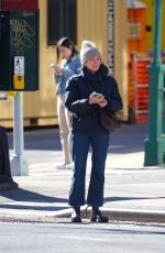 JULIANNE MOORE Out and About in New York 02/07/2024