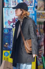 JULIANNE MOORE Out Shopping in Madrid 02/01/2024