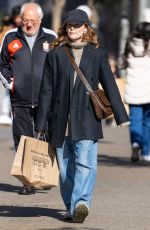 JULIANNE MOORE Out Shopping in Madrid 02/01/2024