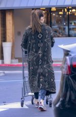 LAUREN PARSEKIAN Shopping at Lazy Acres in Los Feliz 02/26/2024