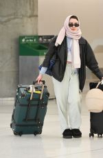 MAISIE WILLIAMS Arrives at JFK Airport in New York 02/11/2024