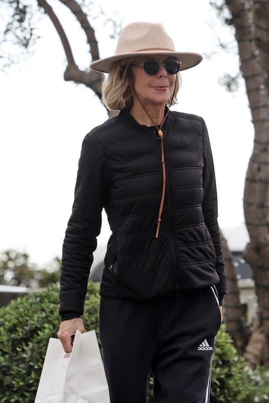 MEG RYAN Out for Lunch Pickup in Santa Barbara 02/14/2024