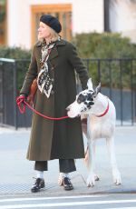 NAOMI WATSS on the Set of The Friend in New York 02/06/2024