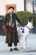 NAOMI WATSS on the Set of The Friend in New York 02/06/2024
