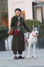 NAOMI WATSS on the Set of The Friend in New York 02/06/2024