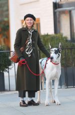 NAOMI WATSS on the Set of The Friend in New York 02/06/2024