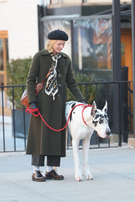 NAOMI WATSS on the Set of The Friend in New York 02/06/2024