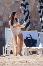 OLIVIA CULPO in Bikini at a Beach in Cabo San Lucas 02/19/2024