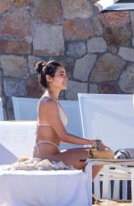 OLIVIA CULPO in Bikini at a Beach in Cabo San Lucas 02/19/2024