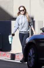 OLIVIA WILDE Arrives at a Gym in Los Angeles 02/08/2024