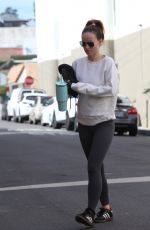 OLIVIA WILDE Arrives at a Gym in Los Angeles 02/16/2024