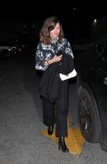 ROSE BYRNE Arrives at LuckyChap Production & Warner Bros Private Party at Delilah in West Hollywood 02/12/2024
