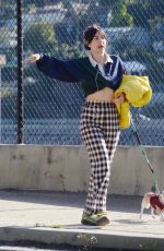 SCOUT WILLIS Out for a Dog Walk in Los Angeles 02/09/2024