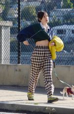 SCOUT WILLIS Out for a Dog Walk in Los Angeles 02/09/2024