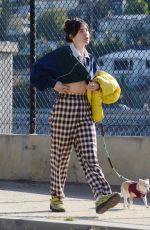 SCOUT WILLIS Out for a Dog Walk in Los Angeles 02/09/2024