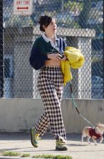 SCOUT WILLIS Out for a Dog Walk in Los Angeles 02/09/2024