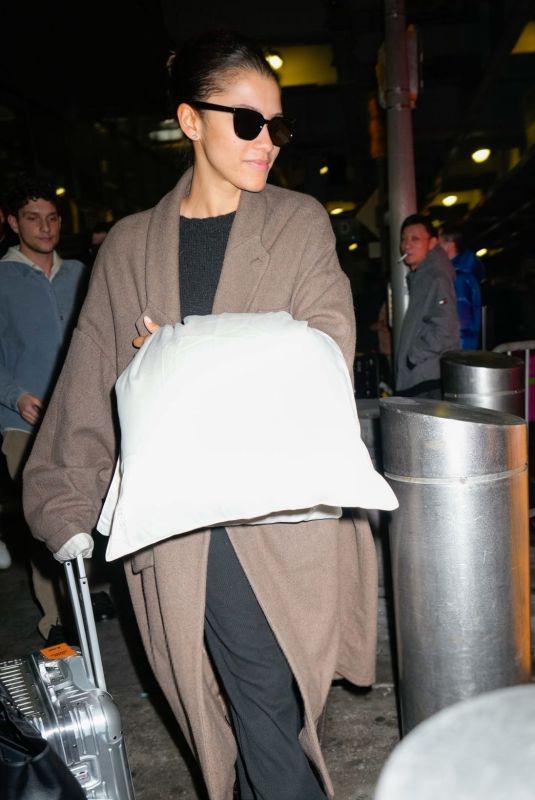 ZENDAYA Arrives at JFK Airport in New York 02/23/2024