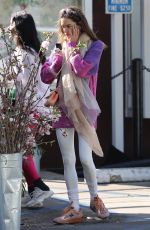 ALESSANDRA AMBROSIO Out for Lunch with Friends in Los Angeles 03/08/2024
