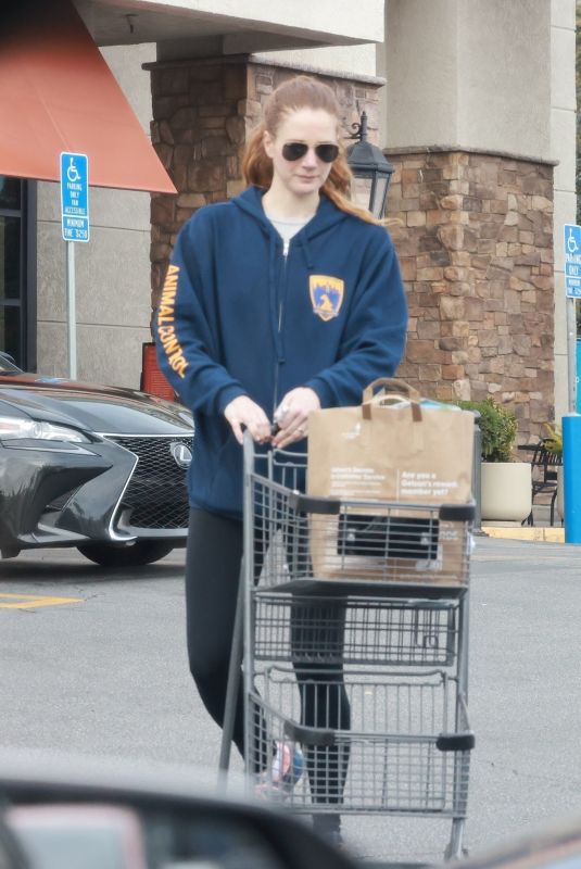 ANNA OSCEOLA Out for Grocery Shopping at Gelson