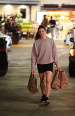 ASHLEY GREENE Shopping at Whole Foods in Los Angeles 02/29/2024