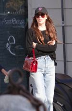 DAKOTA JOHNSON and Blake Lee Out with a Friend in Rome 03/22/2024