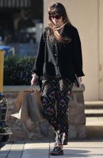 DAKOTA JOHNSON Out Shopping at a Local Mall in Malibu 03/04/2024