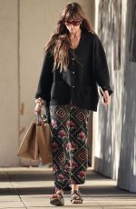 DAKOTA JOHNSON Out Shopping at a Local Mall in Malibu 03/04/2024
