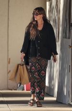 DAKOTA JOHNSON Out Shopping at a Local Mall in Malibu 03/04/2024
