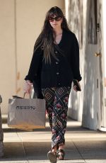 DAKOTA JOHNSON Out Shopping at a Local Mall in Malibu 03/04/2024